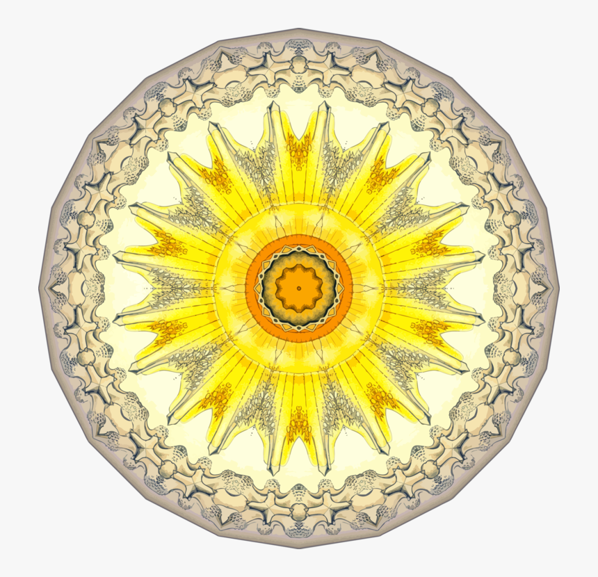 Sunflower Seed,plate,flower - Sunflower, HD Png Download