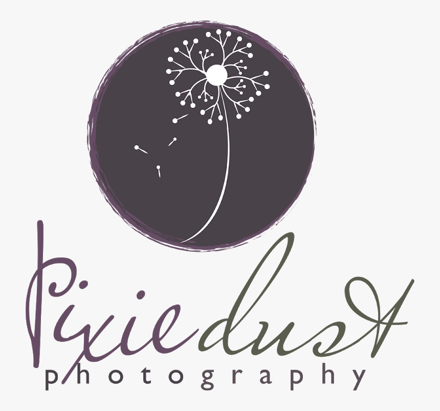 Pixie Dust Photography - Calligraphy, HD Png Download