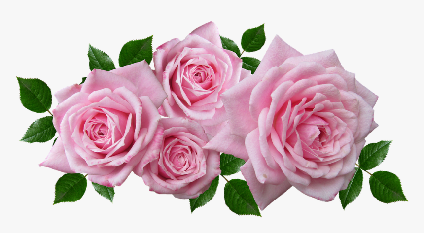 Rosas, Florales, Acuerdo, Romántico, Jardín - Pink Flower Arrangement Png, Transparent Png