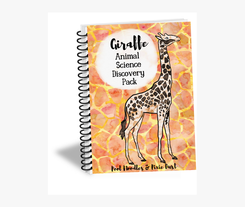 Giraffe Animal Science Discovery Pack - Giraffe, HD Png Download