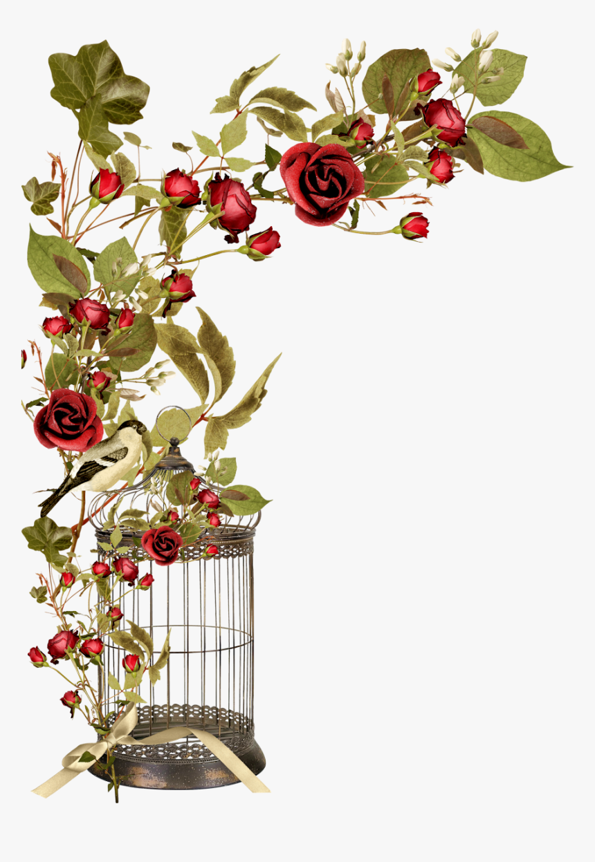 Borders * Cantoneiras * Cluster - Cantoneira Floral Png, Transparent Png