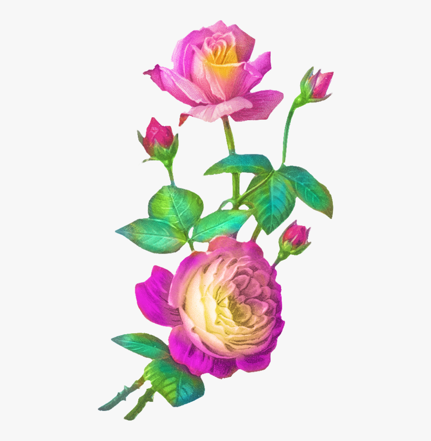 Transparent Nana Clipart - Rosen Vintage Gif, HD Png Download