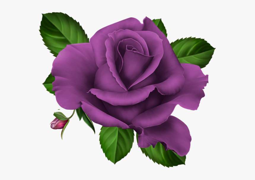 Roses Pink Roze Rosa - Purple Roses Transparent Png, Png Download