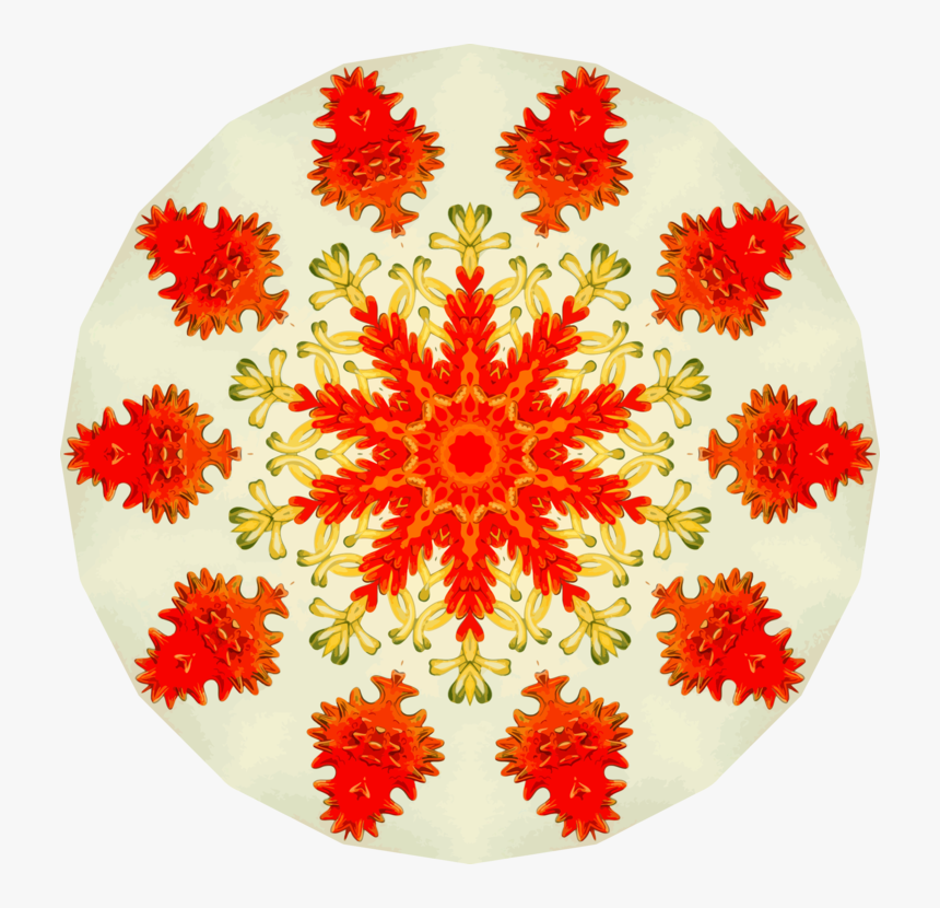 United States System Information - Hindustan Group Of Institutions, HD Png Download