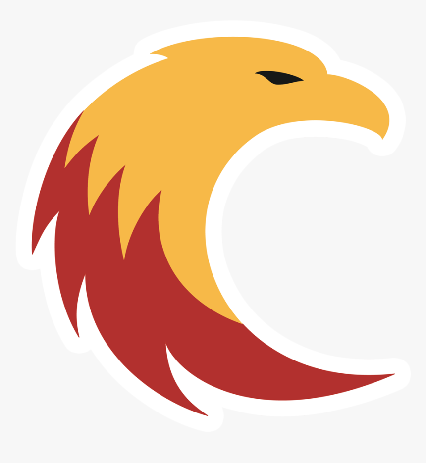 Bald Eagle, HD Png Download