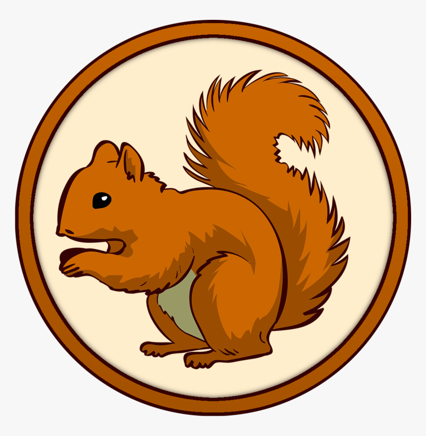 Transparent Background Squirrel Clipart, HD Png Download
