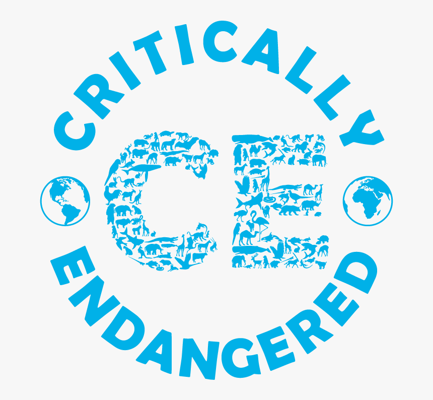 Amity Affliction All F Up, HD Png Download