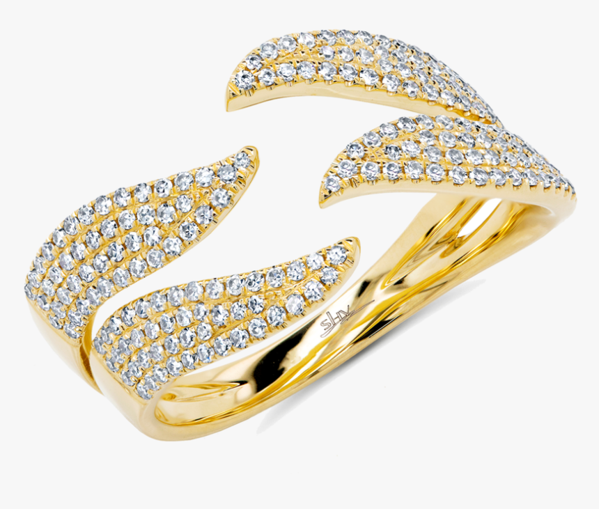 Sc55002188, HD Png Download