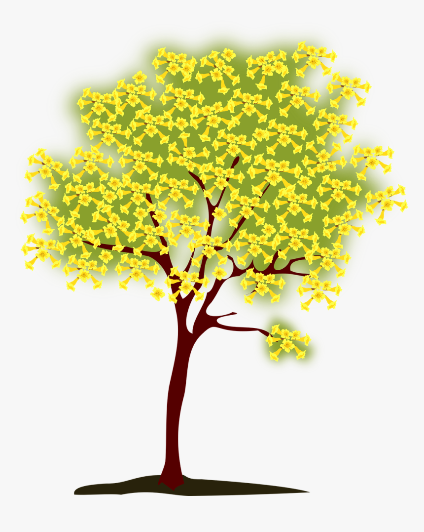 Teachers Plant Seeds That Grow Forever, HD Png Download