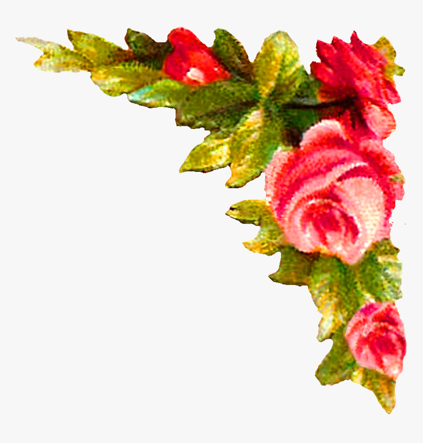 Rose Corner Design Illustration - Gif Face Melt, HD Png Download
