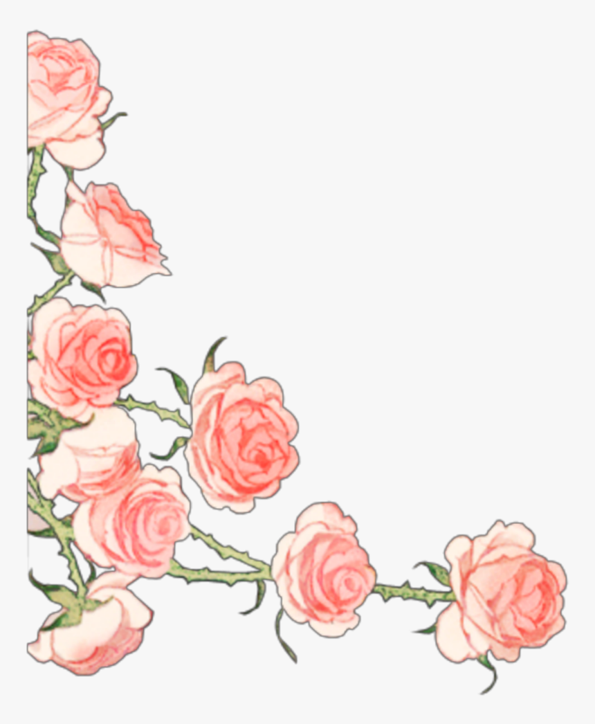 #ftestickers #border #corner #roses #pink - Garden Roses, HD Png Download