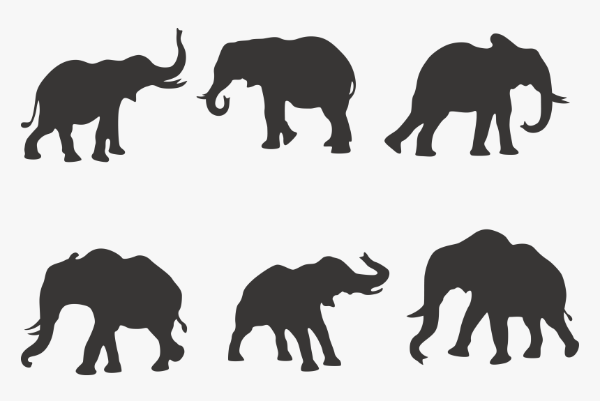 African Elephant Silhouette Indian Elephant - 6 Elephant, HD Png Download