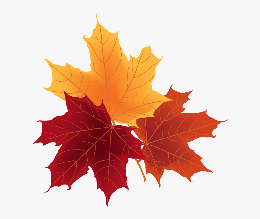 Autumn Leaves And Fruit, HD Png Download
