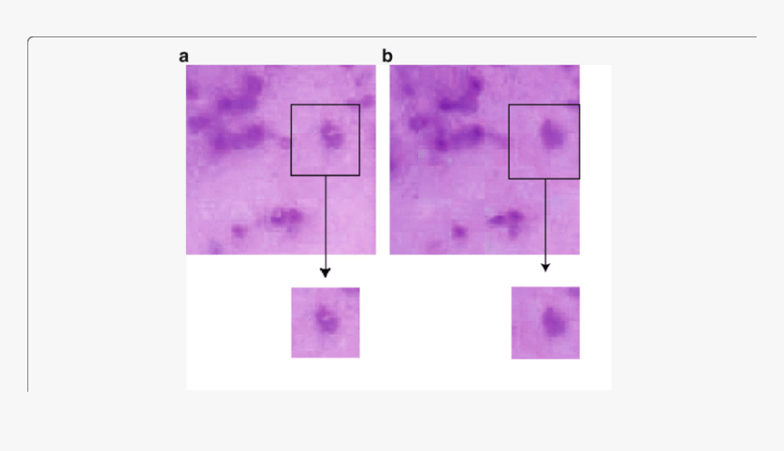 Pattern, HD Png Download