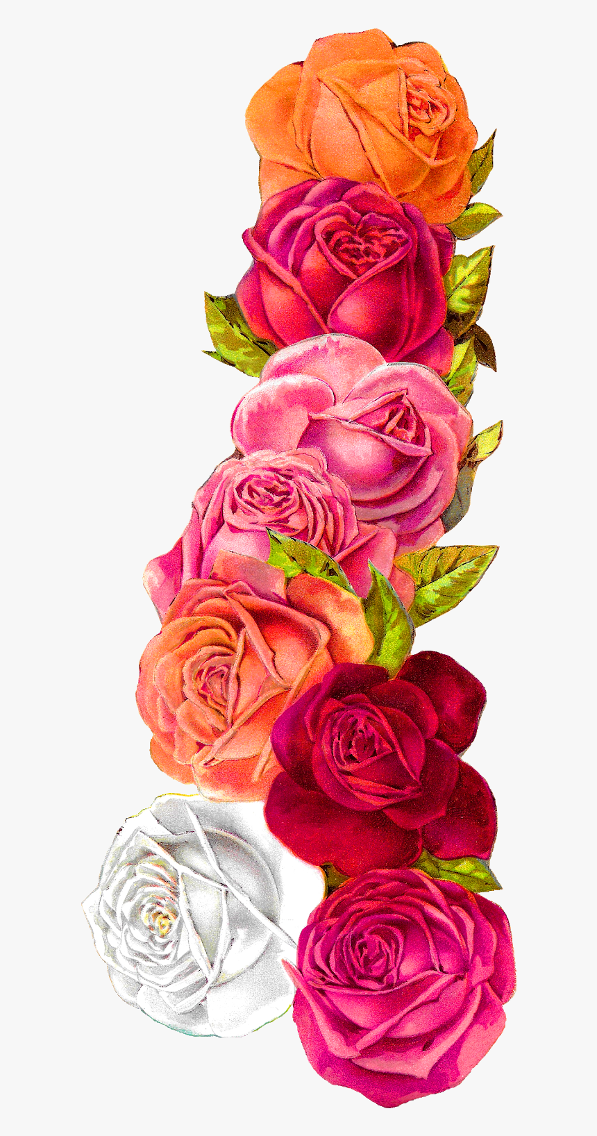 corner flower border design hd png download transparent png image pngitem corner flower border design hd png