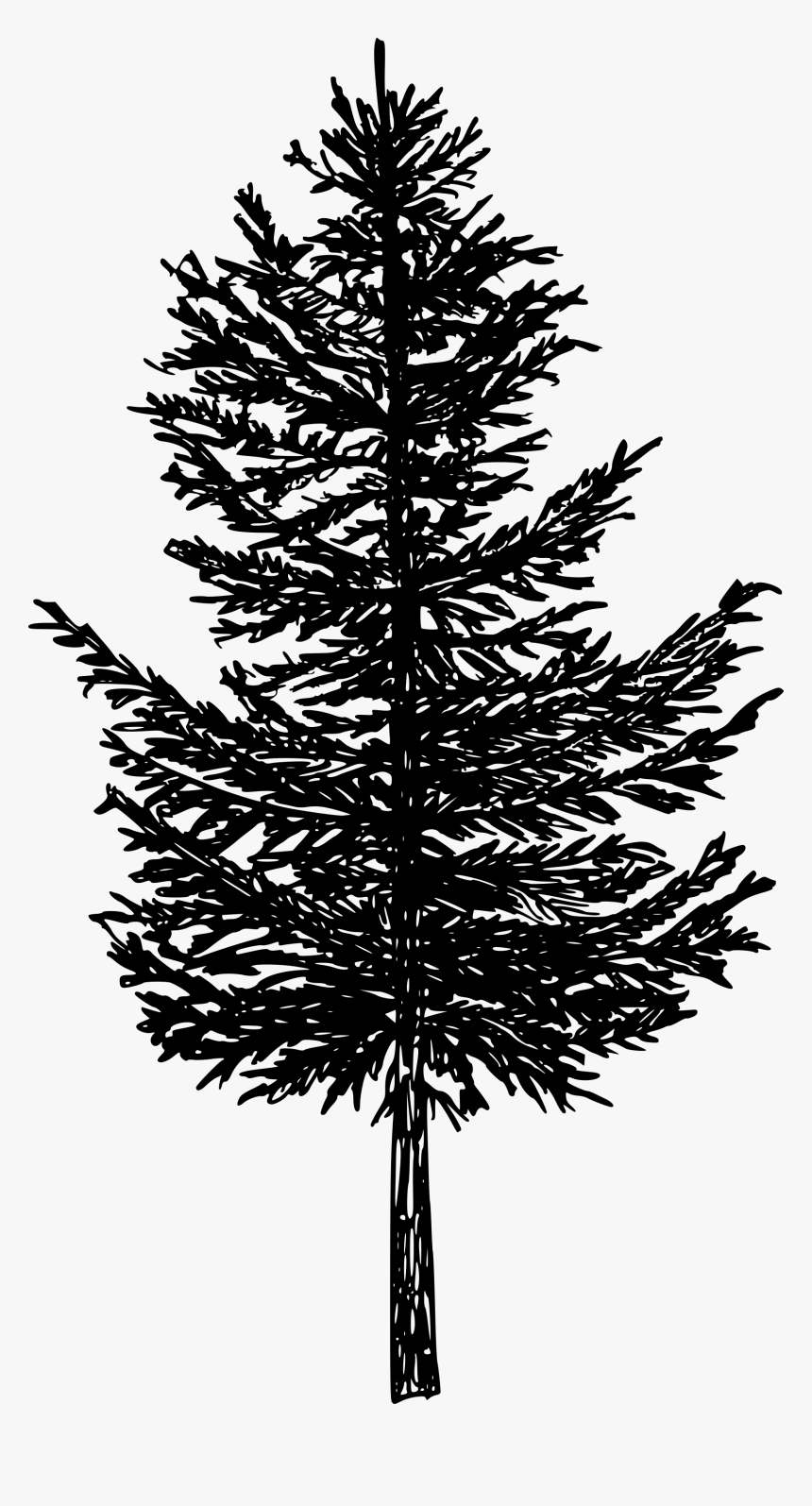 Pine Tree Silhouette Transparent, HD Png Download