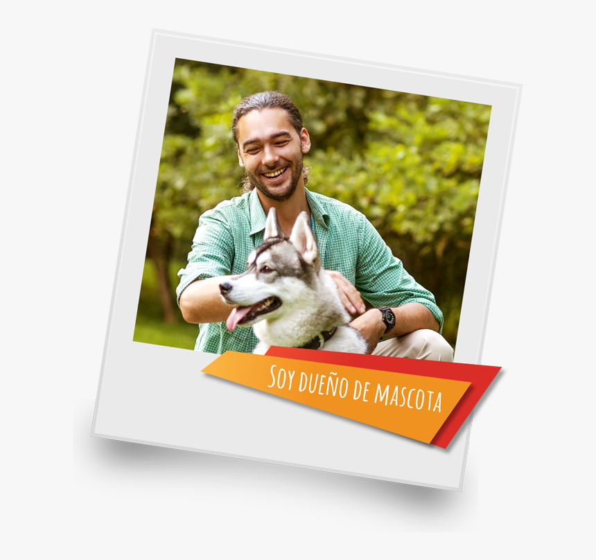 Dog, HD Png Download