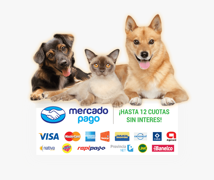 Perro Y Gato Feliz Png, Transparent Png