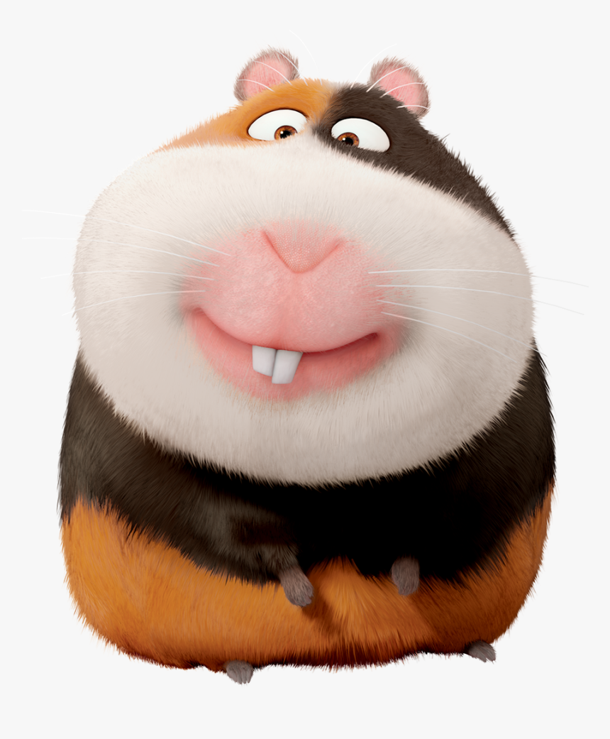 Mascotas Png, Transparent Png