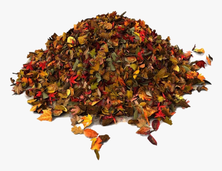 Pile Of Autumn Leaves Png File - Waste, Transparent Png