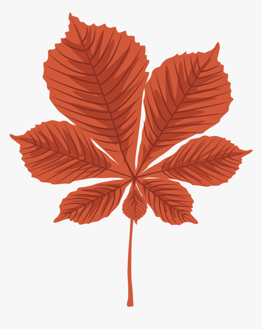 Free Use Autumn Leaves, HD Png Download