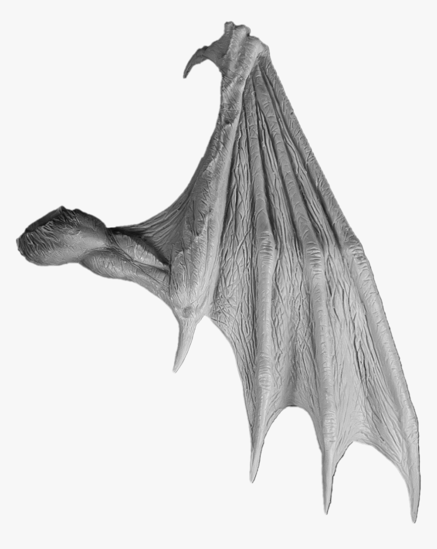 Sketch, HD Png Download