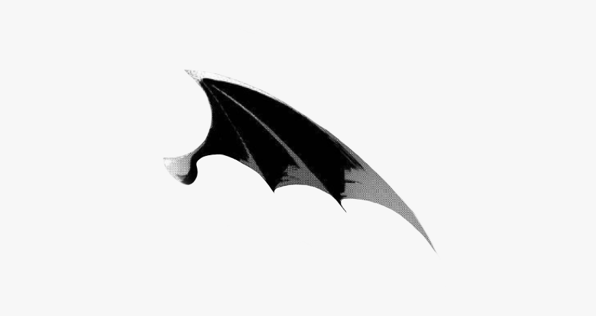 #succubus #wing #manga The Right Wing #freetoedit - Illustration, HD Png Download