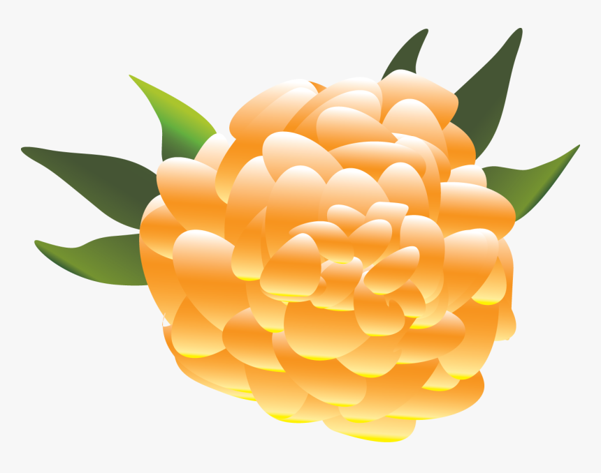 Mexican Clipart Flower Mexican - Mexican Flowers Png Transparent Background, Png Download