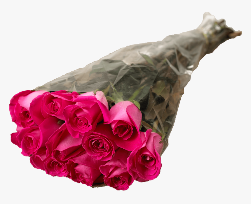 Â Â Â Â Â Â - Garden Roses, HD Png Download