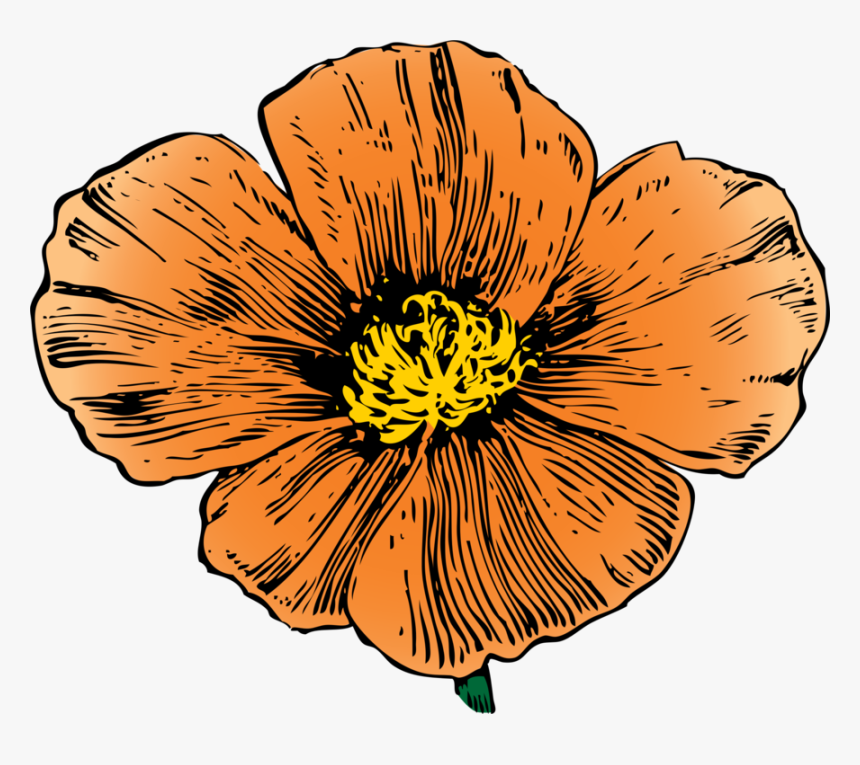 Cliparts For Free Download Floral Clipart Mexican And - California Golden Poppy Drawing, HD Png Download