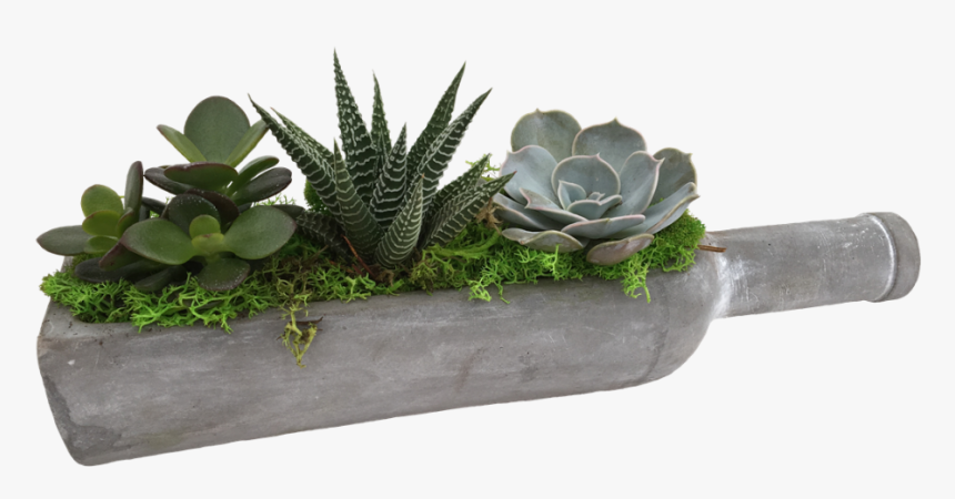 Mexican Paper Flowers Png, Transparent Png