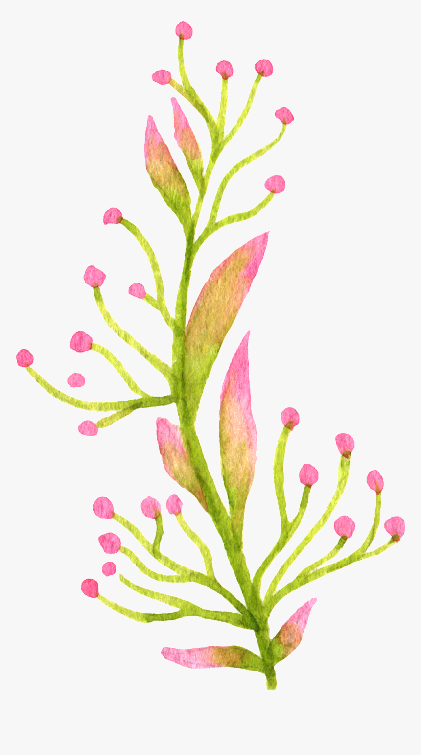 Decor,cut Flowers,botany,flowering Plant,plant Stem,clip - Watercolor Plants Png, Transparent Png