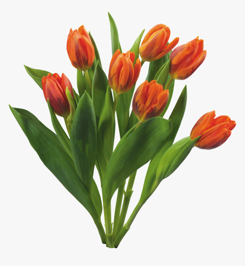 Bouquet Of Flowers Png Image - Flowers Png, Transparent Png