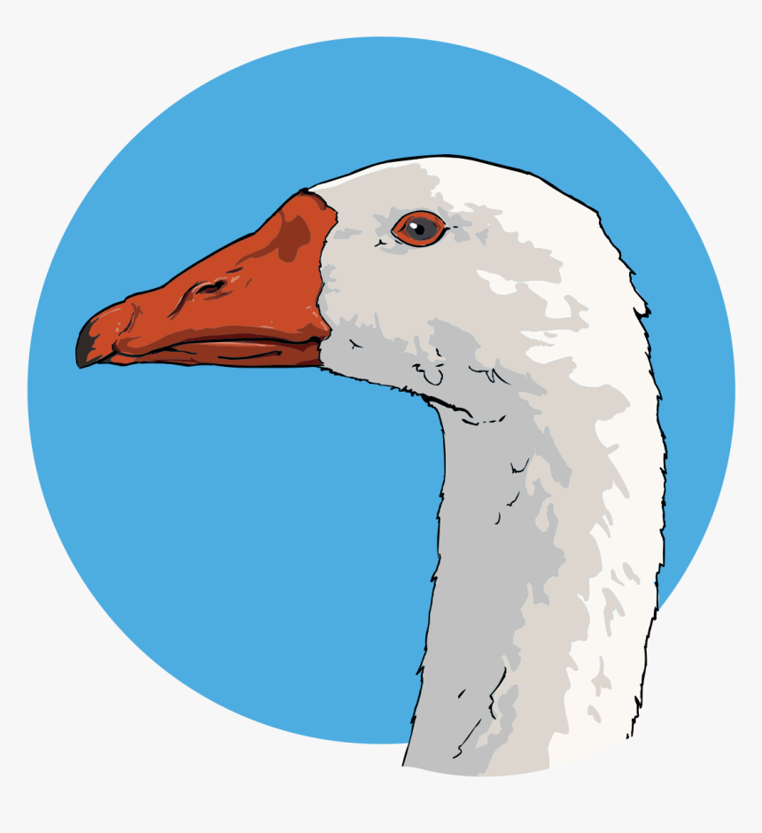 Goose Art Hd Png Download Transparent Png Image Pngitem