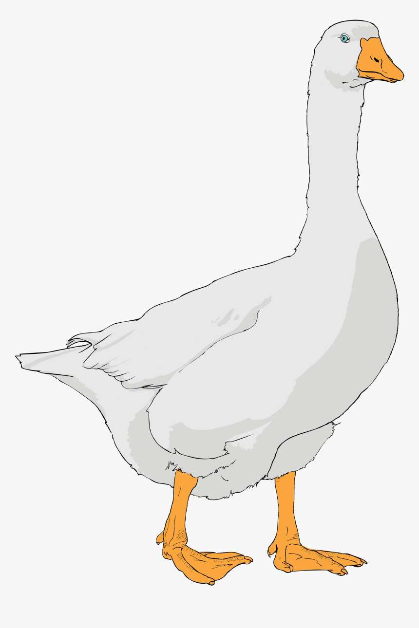 Goose Clipart Svg - Clip Art, HD Png Download
