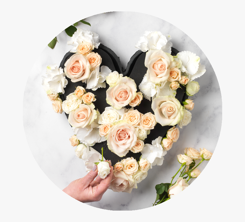 Garden Roses, HD Png Download