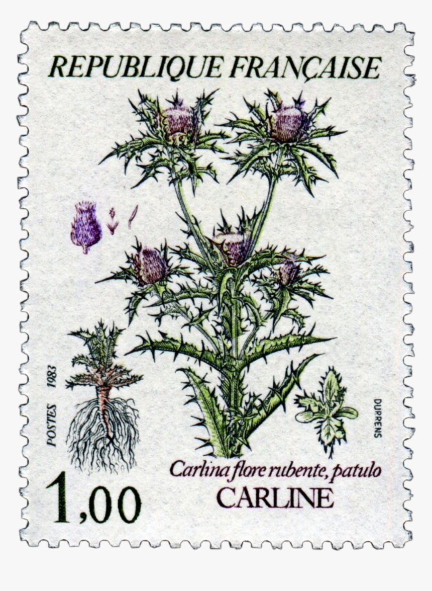 #stamp #stamps #flower #flowers #png #pngs #pngedit - France, Transparent Png