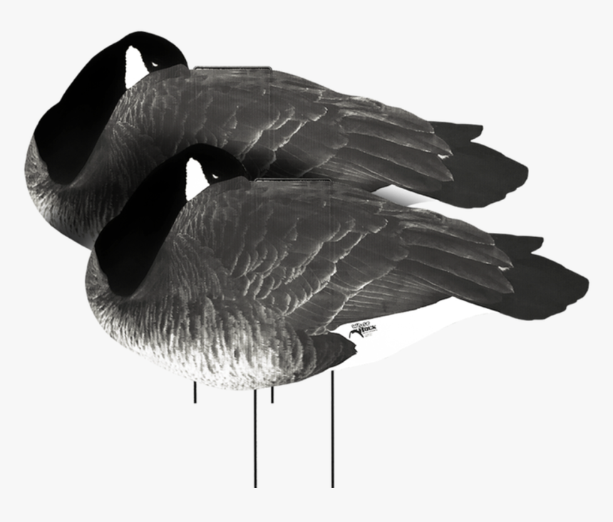 White Rock Canada Goose Flocked Head Sleeper Silhouette - Duck, HD Png Download