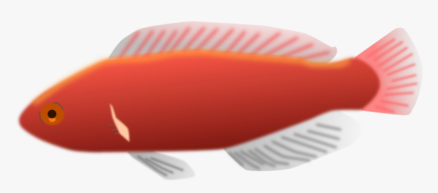 Long Fish Clip Art, HD Png Download