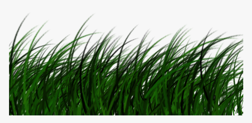 Free Download High Quality Grass Png Transparent Image - Portable Network Graphics, Png Download