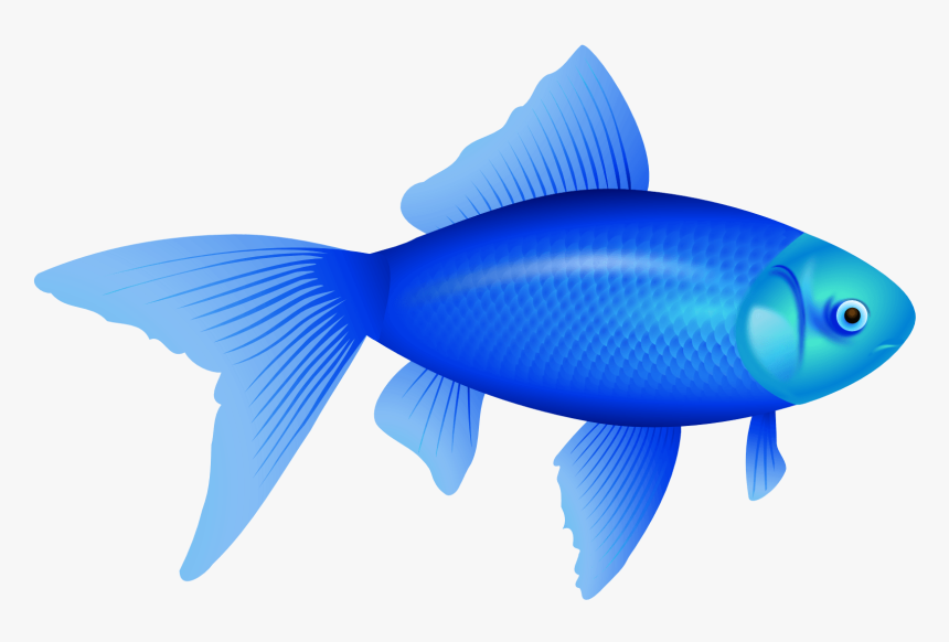 Blue Fish Transparent Background, HD Png Download