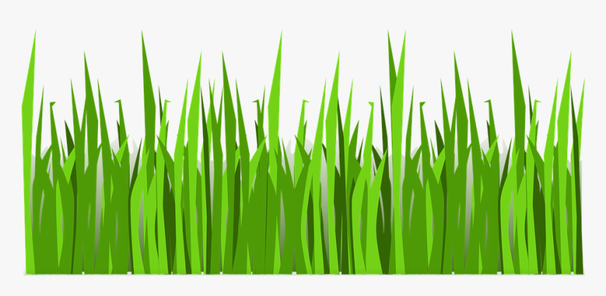 Grass Png Vector , Png Download - Vector Transparent Grass Png, Png Download