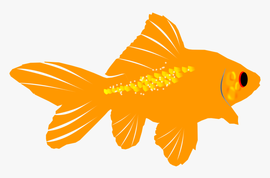 Fins Clipart Sea Life - Goldfish, HD Png Download