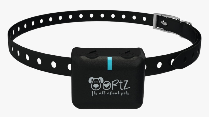 Transparent Shock Collar Png - Belt, Png Download