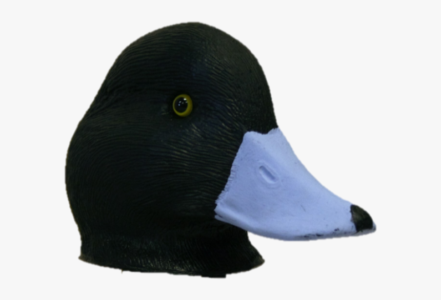 Mallard, HD Png Download