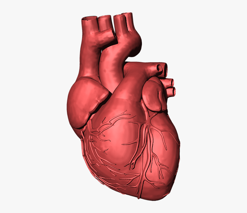 Heart Disease Transparent Background, HD Png Download