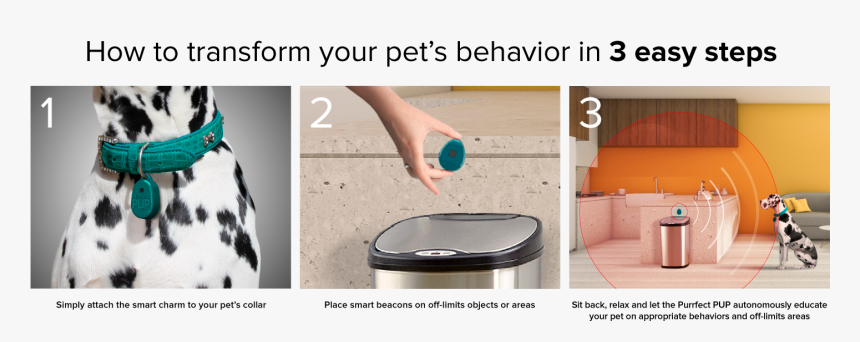 Best Dog Training Collar - Crowdbooster, HD Png Download