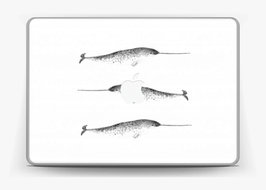 Narwhale Skin Macbook Pro 13” - Long Nose Gar, HD Png Download