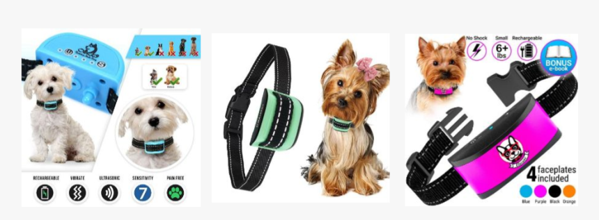 Tiny Dog Bark Collar Reviews - Yorkshire Terrier, HD Png Download