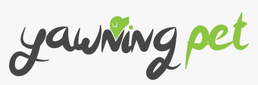 Dog Bark Collar With Vibration Harmless Shock Usb Rechargeable - Graphic Design, HD Png Download